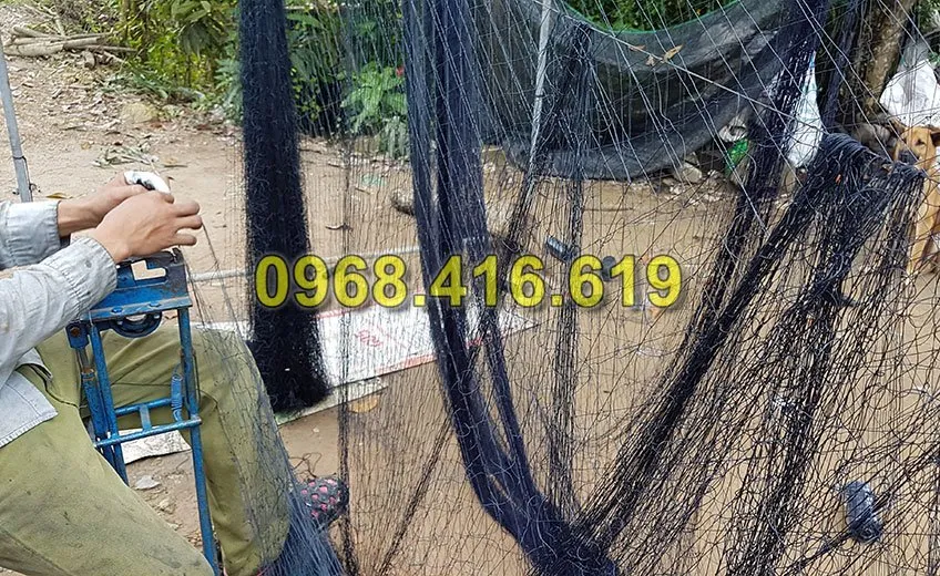 cách làm lưới bẫy gà rừng