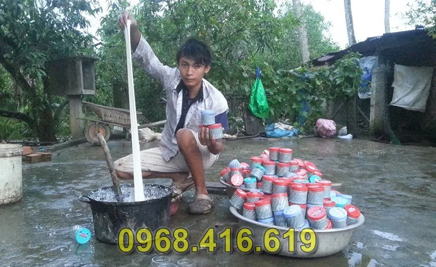 cách nấu keo bẫy chim