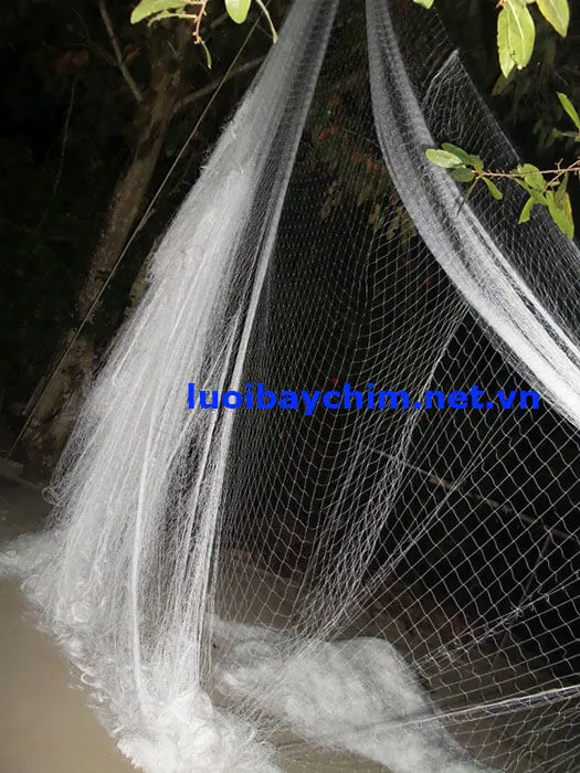 Lưới bẫy gà rừng màu trắng