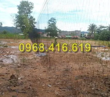 lưới bẫy gà rừng