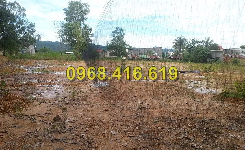 lưới bẫy gà rừng