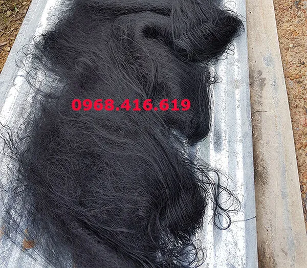 Phơi lưới bẫy gà rừng chuẩn bị giao cho khách