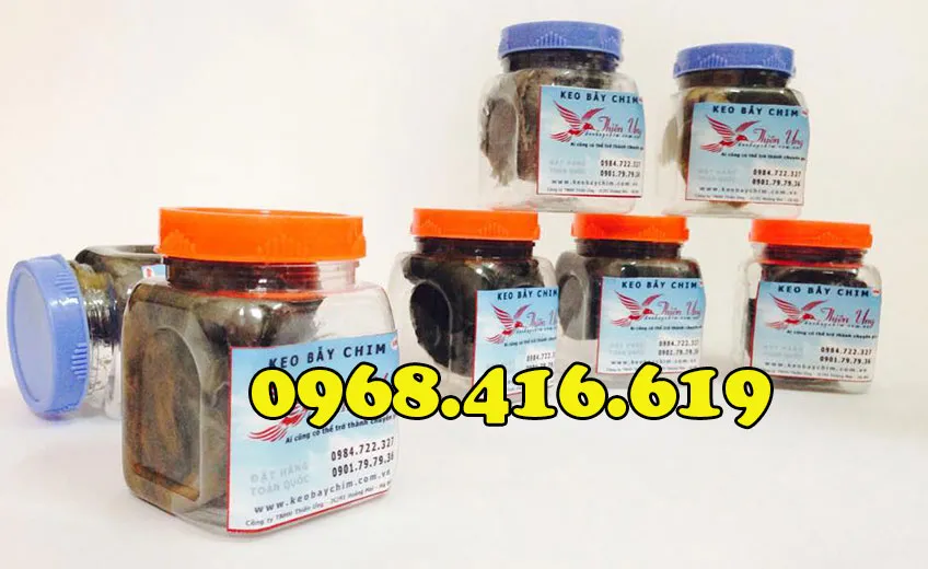 keo-dinh-chim