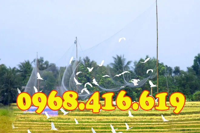 Giá lưới bẫy chim