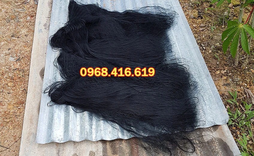 Giá lưới bấy chim