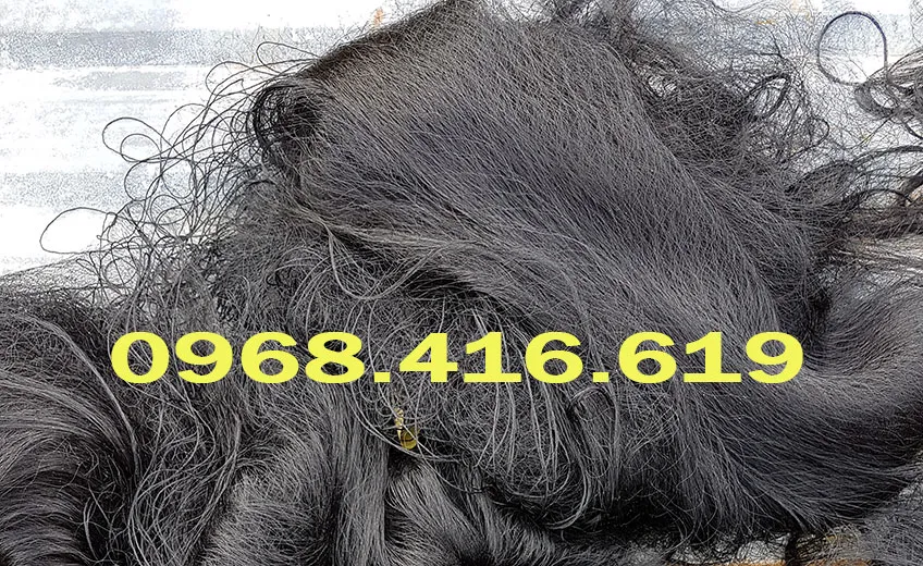 Lưỡi bẫy chim tàn hình