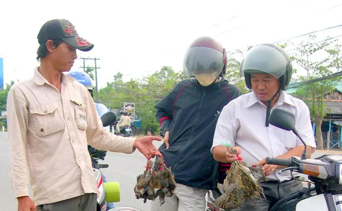 Khách mua chim về thưởng thức