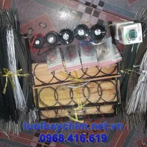 Thòng bẫy chim cút