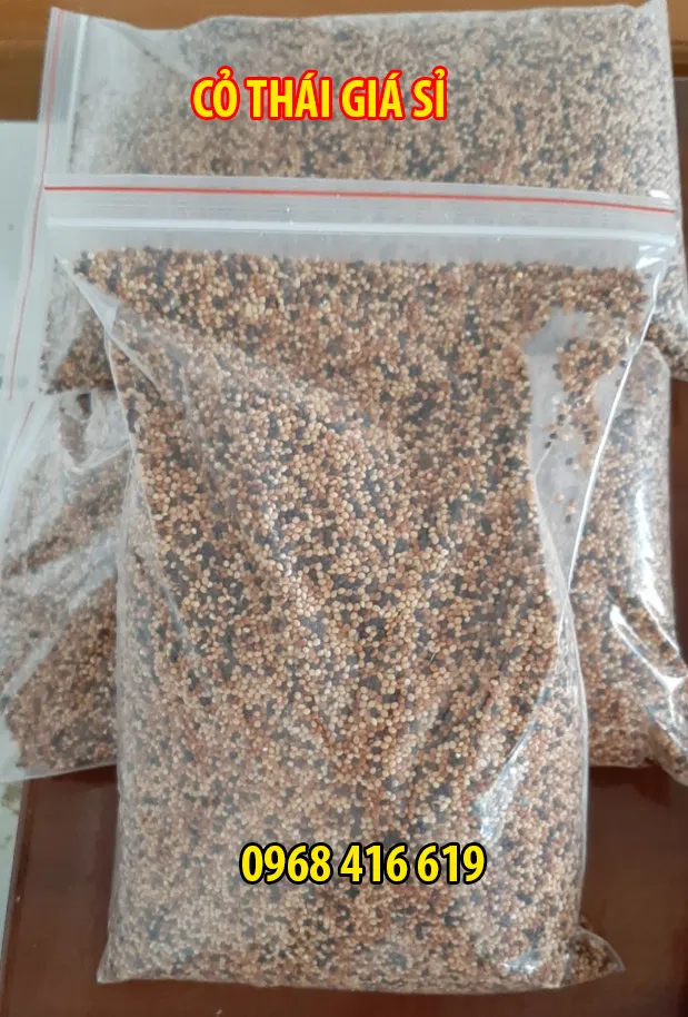 Cỏ Thái Giá Sỉ