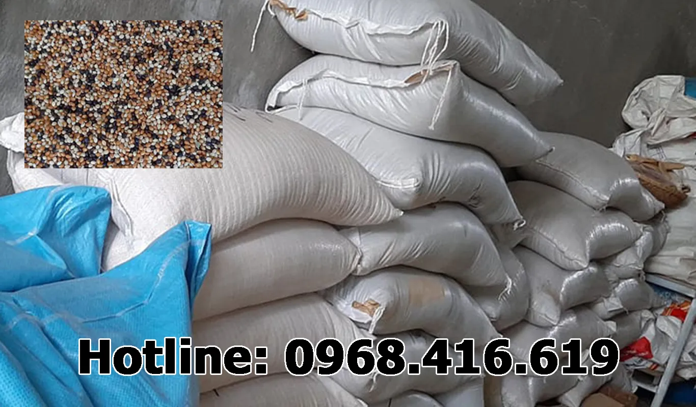 cỏ sỉ yến linh